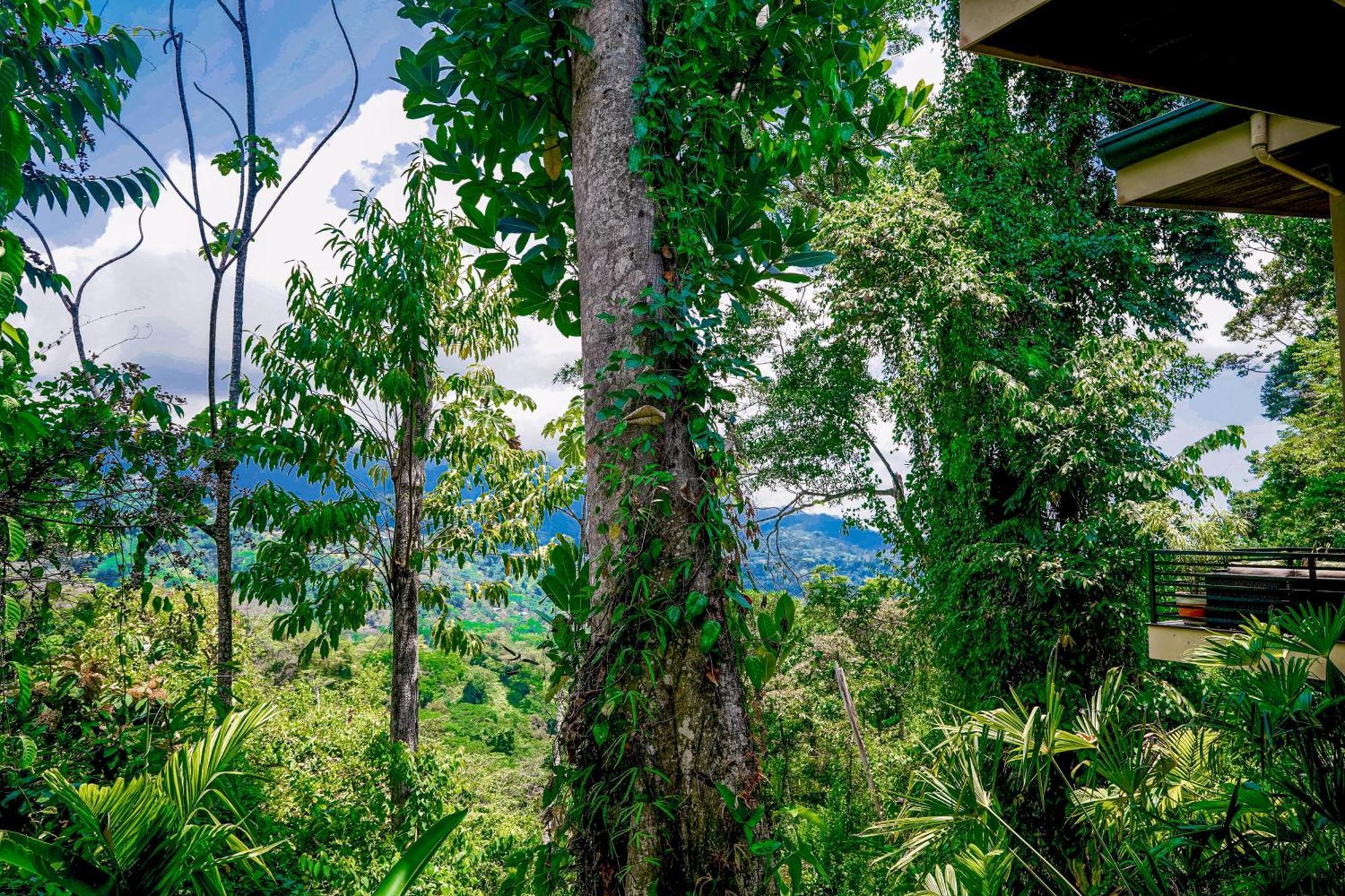 Casa Vista Verde Uvita Kültér fotó