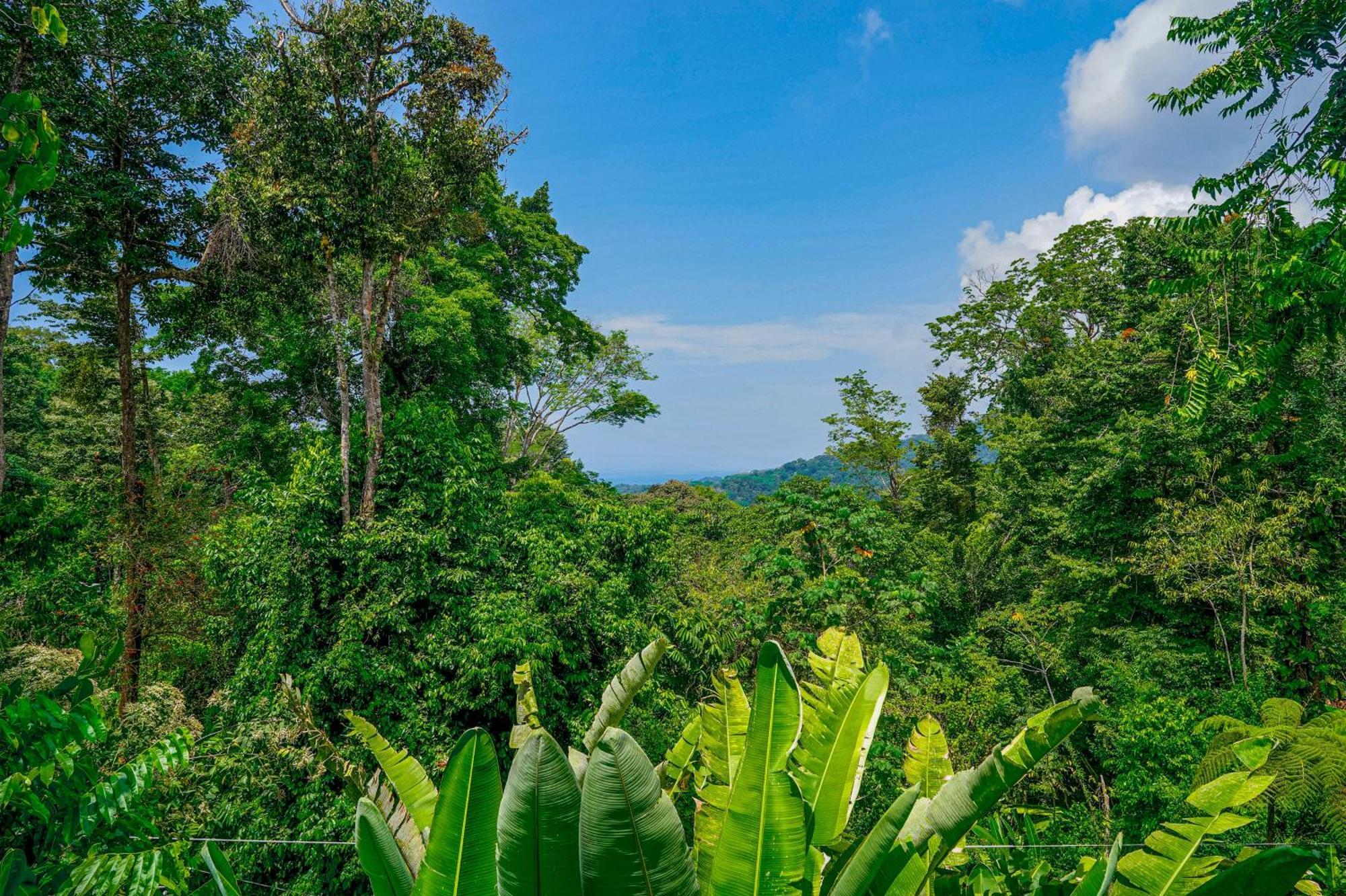 Casa Vista Verde Uvita Kültér fotó