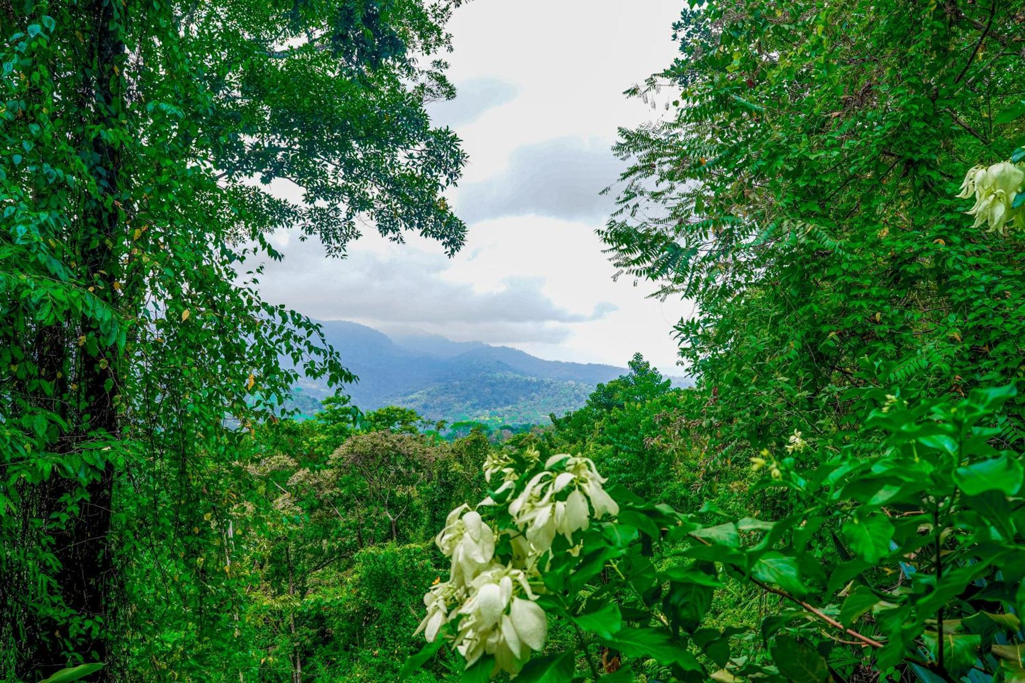 Casa Vista Verde Uvita Kültér fotó